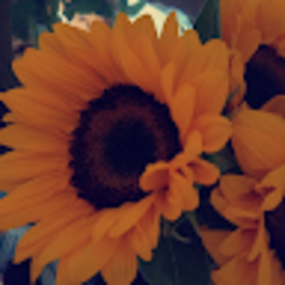 Meet your Posher, Erin